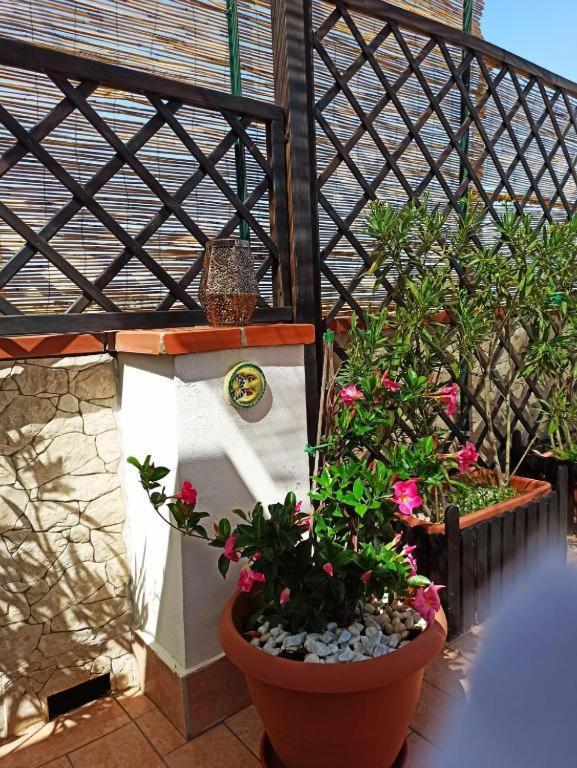 Apartamento House Solesiculo Syracuse