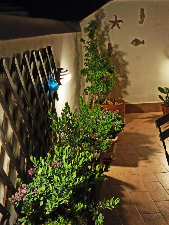 House Solesiculo Apartamento